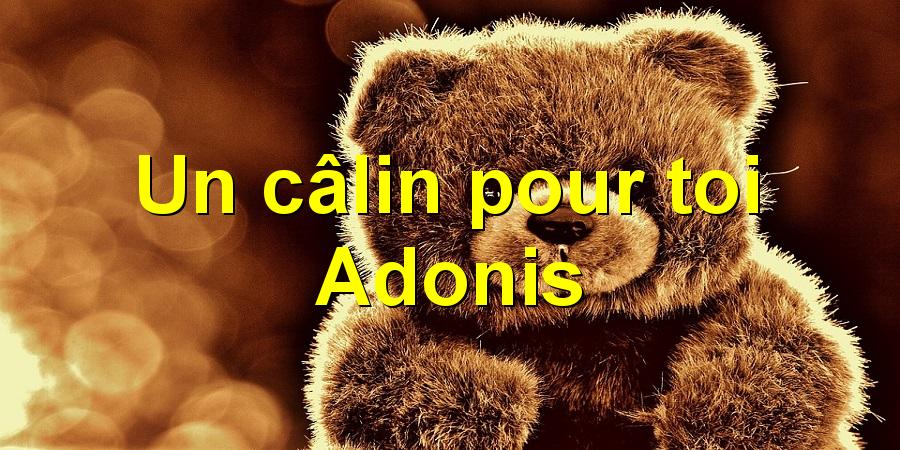 Un câlin pour toi Adonis