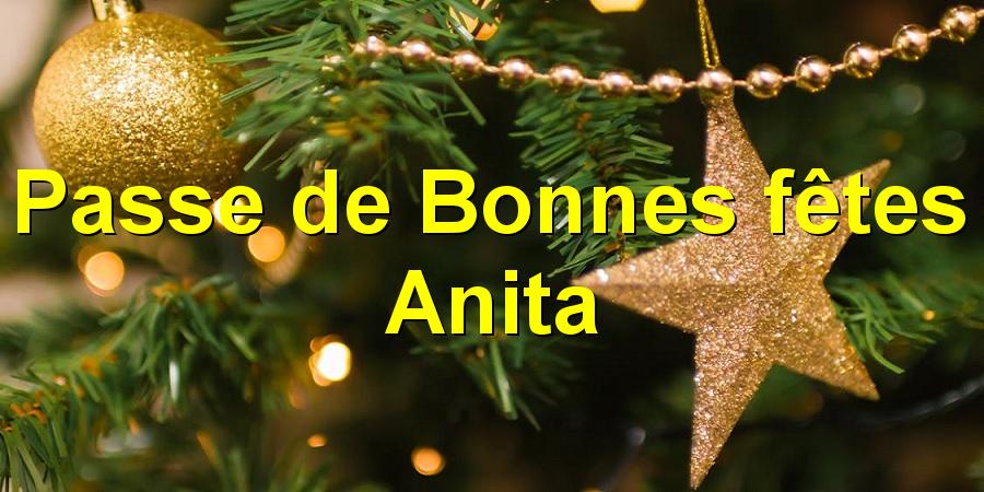 Passe de Bonnes fêtes Anita