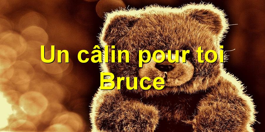 Un câlin pour toi Bruce