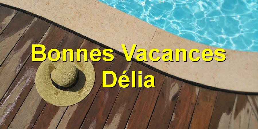 Bonnes Vacances Délia