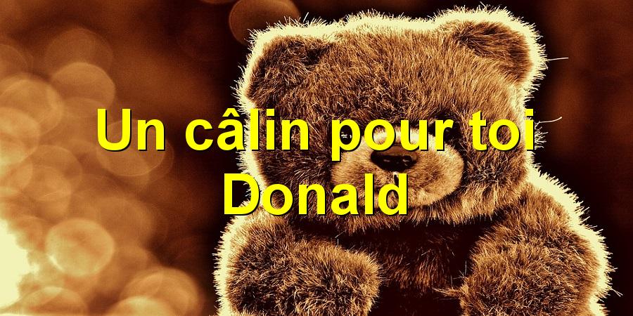 Un câlin pour toi Donald