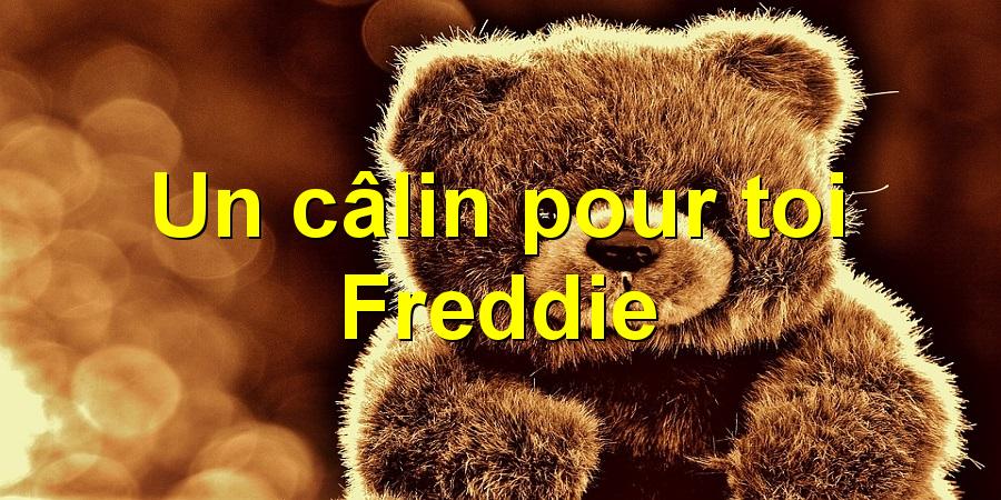Un câlin pour toi Freddie