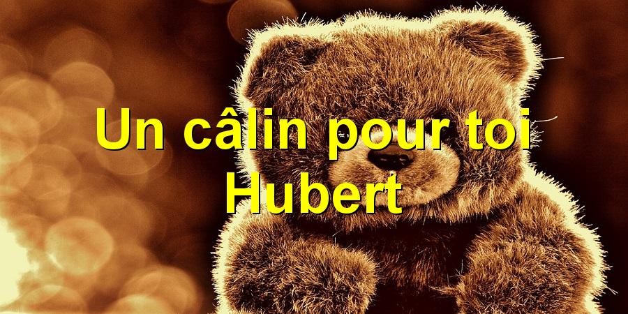 Un câlin pour toi Hubert