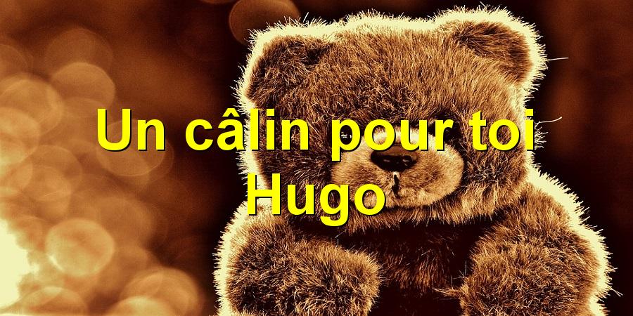 Un câlin pour toi Hugo