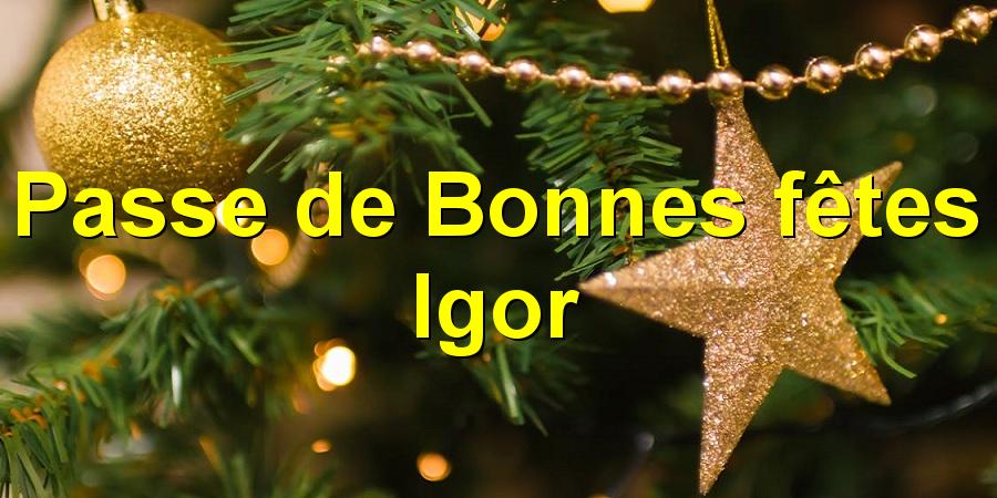 Passe de Bonnes fêtes Igor