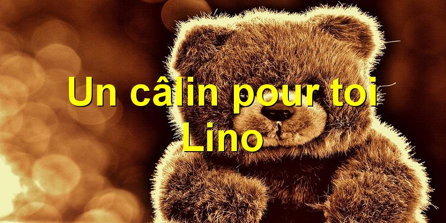 Un câlin pour toi Lino