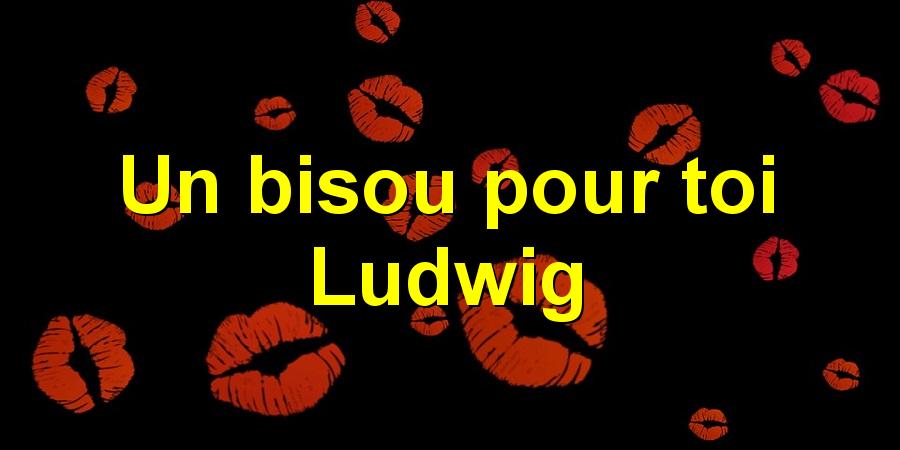 Un bisou pour toi Ludwig