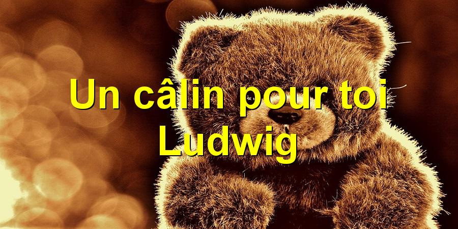Un câlin pour toi Ludwig