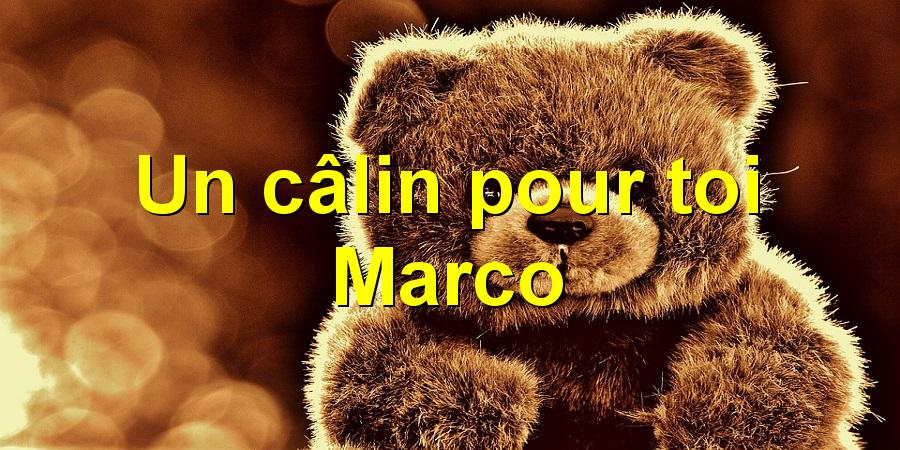 Un câlin pour toi Marco