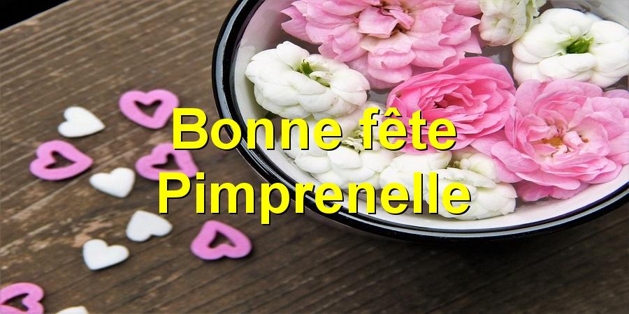 Bonne fête Pimprenelle