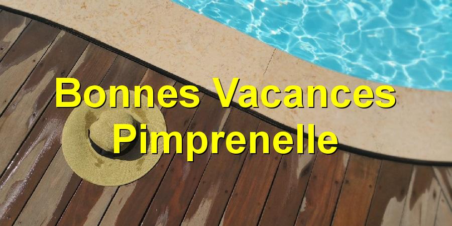 Bonnes Vacances Pimprenelle