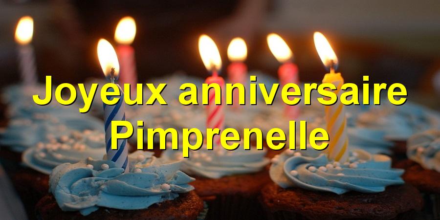 Joyeux anniversaire Pimprenelle