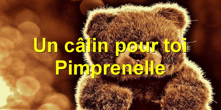 Un câlin pour toi Pimprenelle