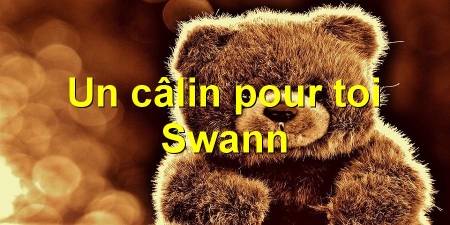 Un câlin pour toi Swann