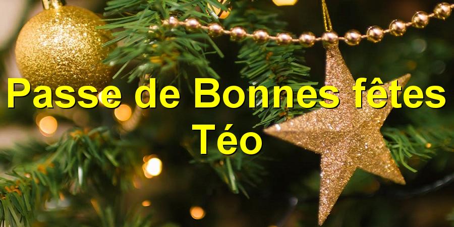 Passe de Bonnes fêtes Téo