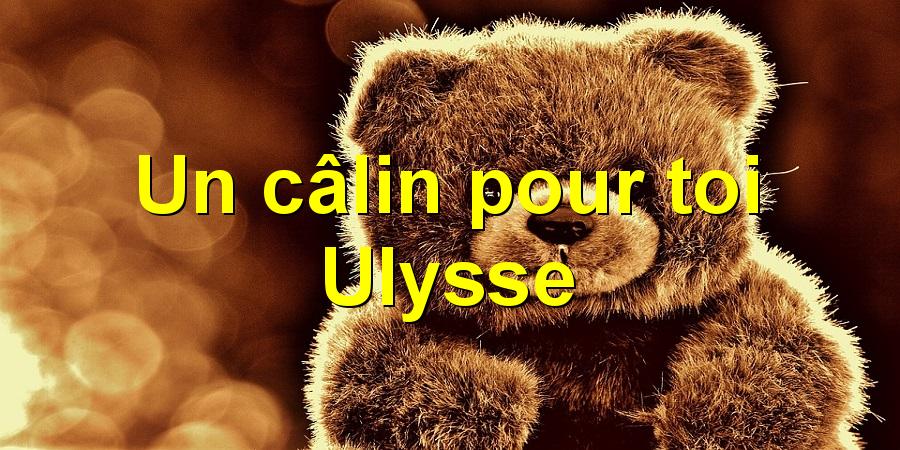 Un câlin pour toi Ulysse