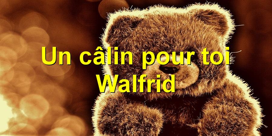 Un câlin pour toi Walfrid