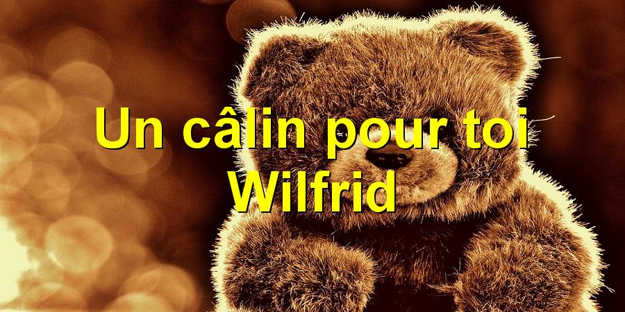 Un câlin pour toi Wilfrid