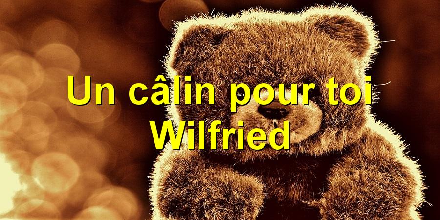 Un câlin pour toi Wilfried