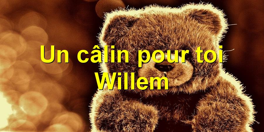 Un câlin pour toi Willem